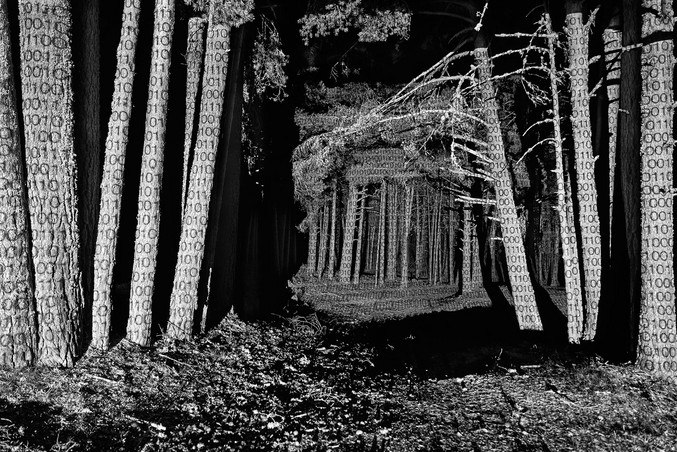 Alfonso Zubiaga | Proyeccion 1 Alfonso Zubiaga | Proyeccion 1