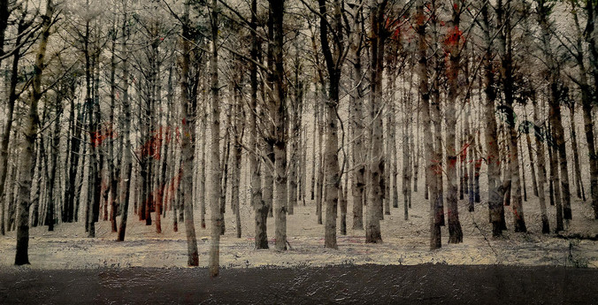 Carlos Regueira | Bosque de ferrolterra Carlos Regueira | Bosque de ferrolterra