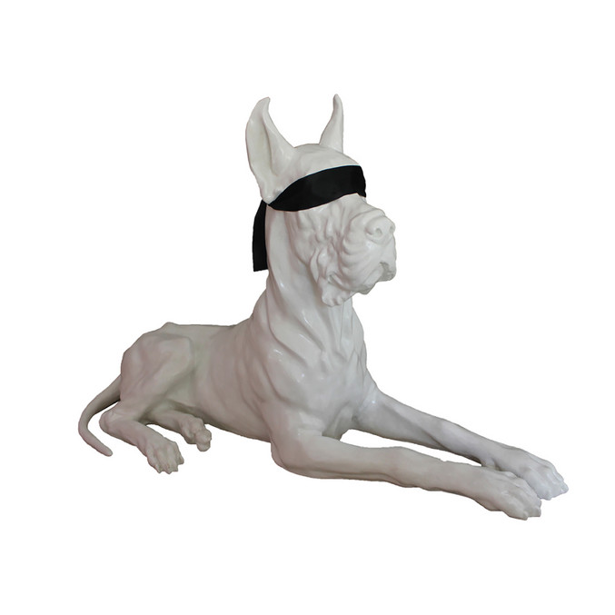 Yoxi Velázquez | The good dog Yoxi Velázquez | The good dog