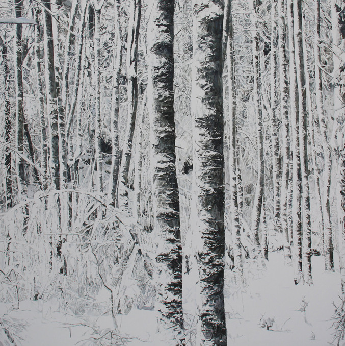 Ramon Surinyac | Winter Ramon Surinyac | Winter