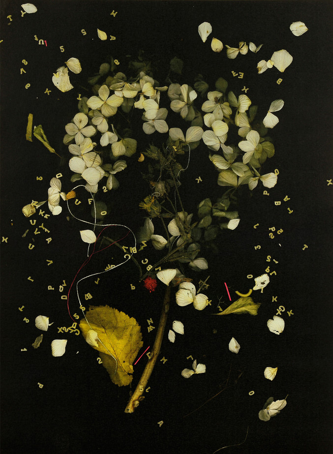 Xurxo Gómez-Chao | Vanitas NºIII Xurxo Gómez-Chao | Vanitas NºIII