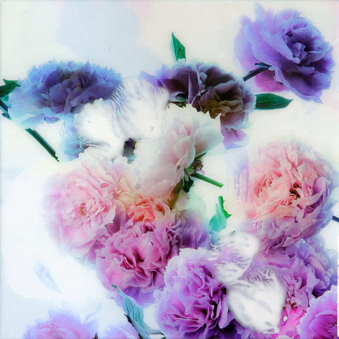 Xurxo Gómez-Chao | Bouquet NºXVII Xurxo Gómez-Chao | Bouquet NºXVII