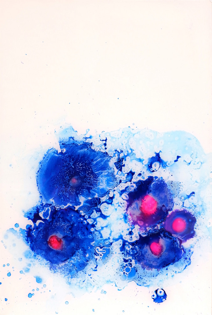 Pablo Lambertos | Flores azules y rosas