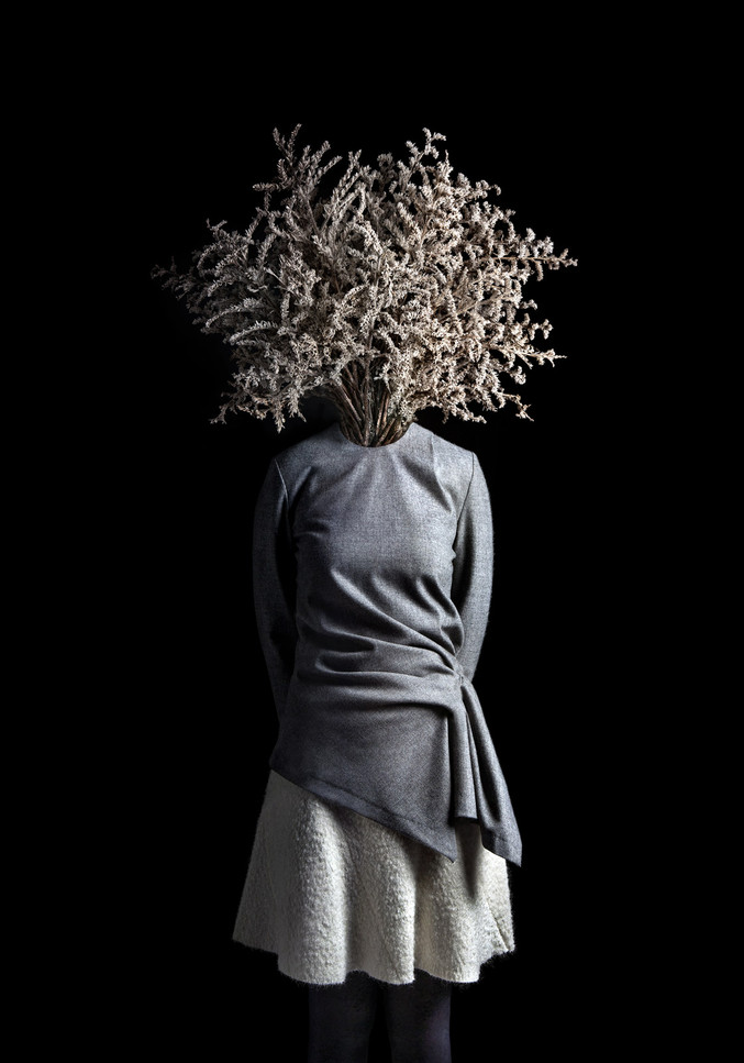 Miguel Vallinas | Raíz número 4 (Serie "Raíces") Miguel Vallinas | Raíz número 4 (Serie "Raíces")