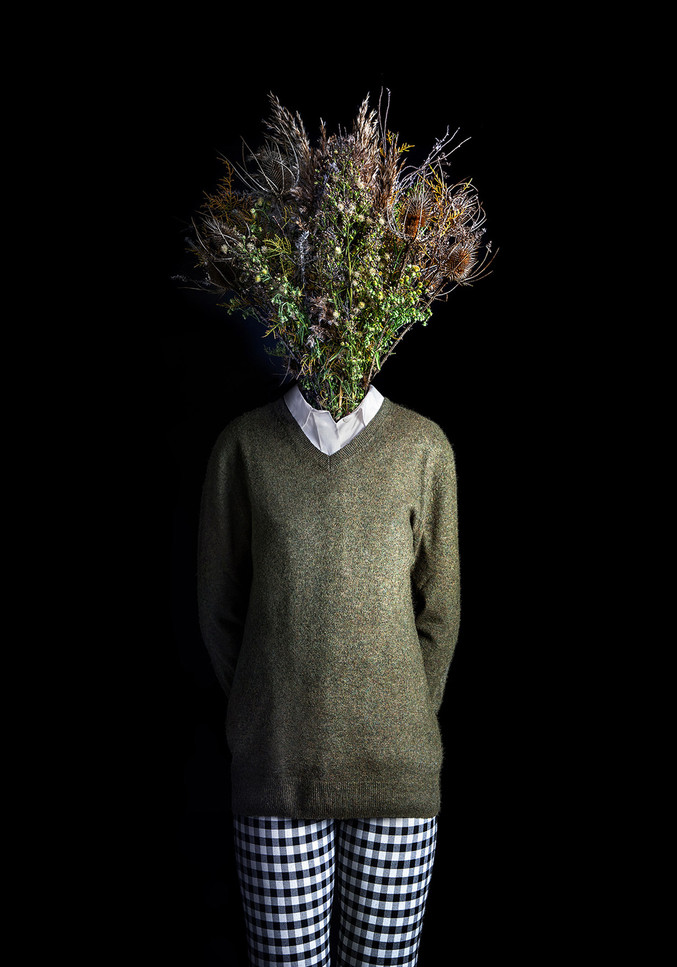 Miguel Vallinas | Raíz número 1 (Serie "Raíces") Miguel Vallinas | Raíz número 1 (Serie "Raíces")