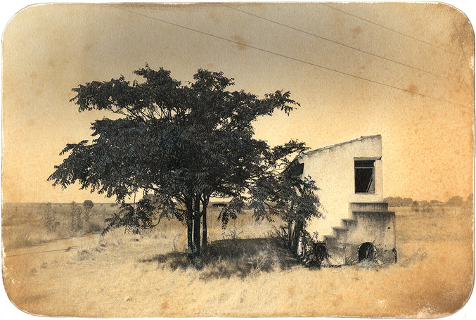José Quintanilla | Mi casa, mi árbol 17