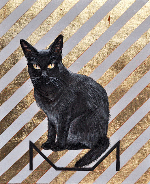 Mariajosé Gallardo | Mascota. Gato