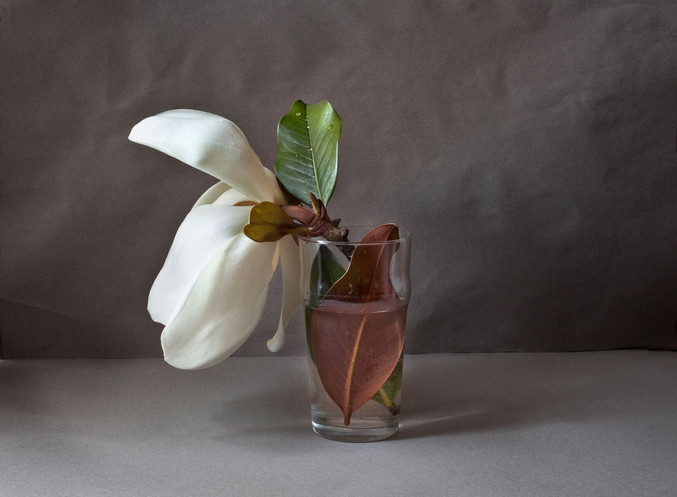 Pilar Pequeño | Magnolia