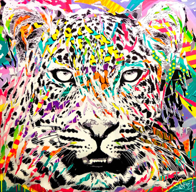 Jo Di Bona | Feline Street Jo Di Bona | Feline Street