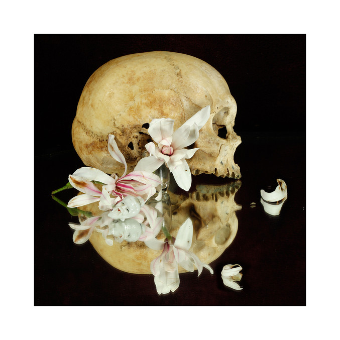 Xurxo Gómez-Chao | Still life (Tempus fugit)