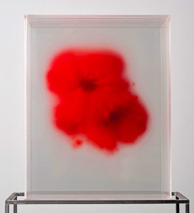 Isabel Alonso Vega | Rojo