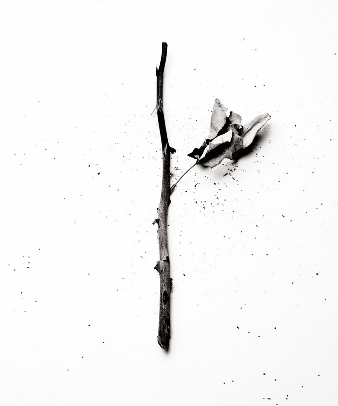 Edin Mustafic | Temporality 2