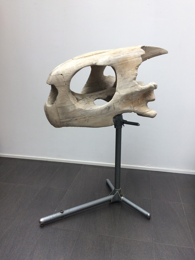 Quentin Garel | Turtle Skull