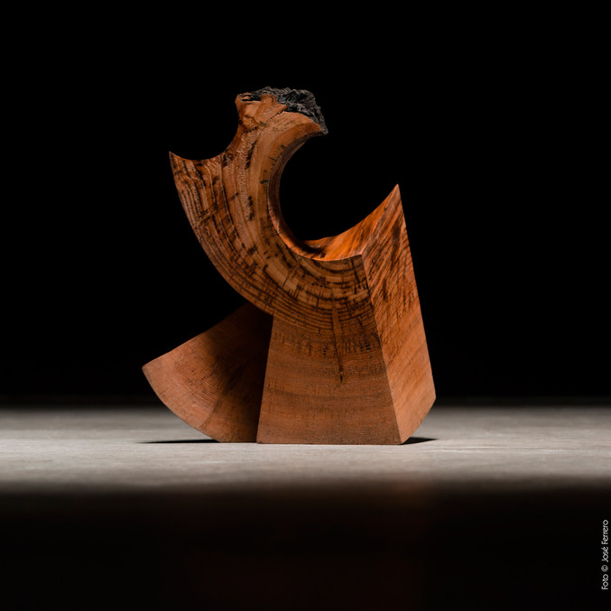 Guillermo Ocio Forascepi | S.T