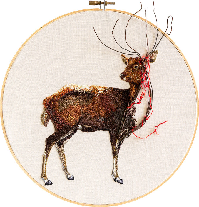 Chen Sheng-Wen | Rusa unicolor swinhoei