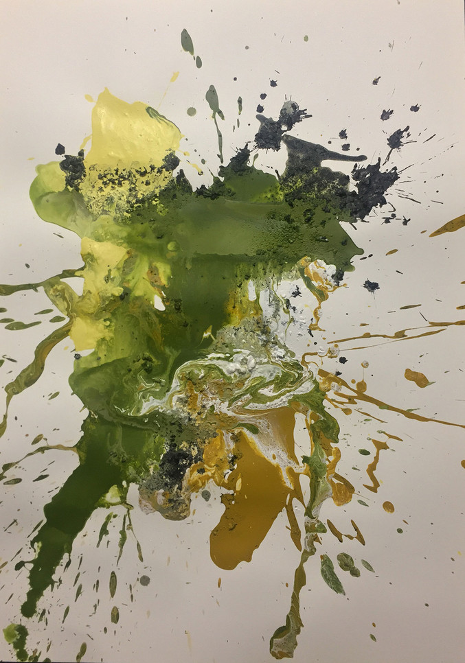 David Heras Verde | Decain nº 14 David Heras Verde | Decain nº 14