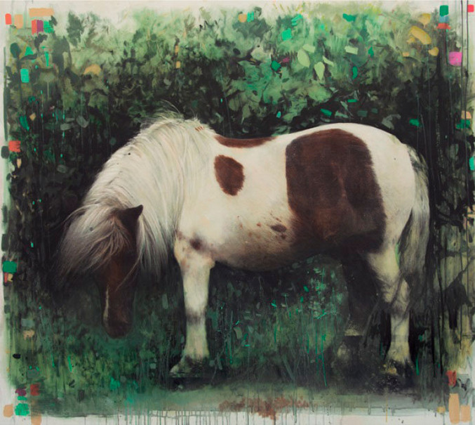 David Morago | Pony