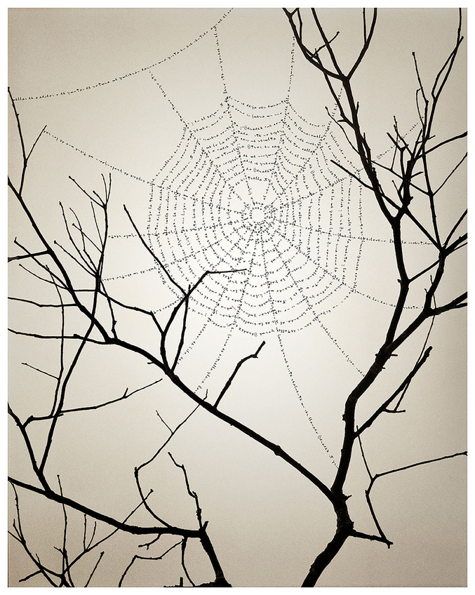 Chema Madoz | Sin título (Telaraña)