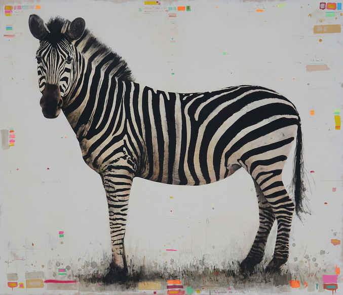 David Morago | Cebra