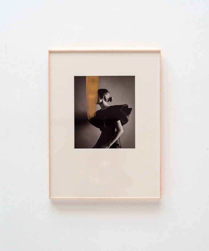 Andrea Torres Balaguer | Hivernacle Lilium Andrea Torres Balaguer | Hivernacle Lilium