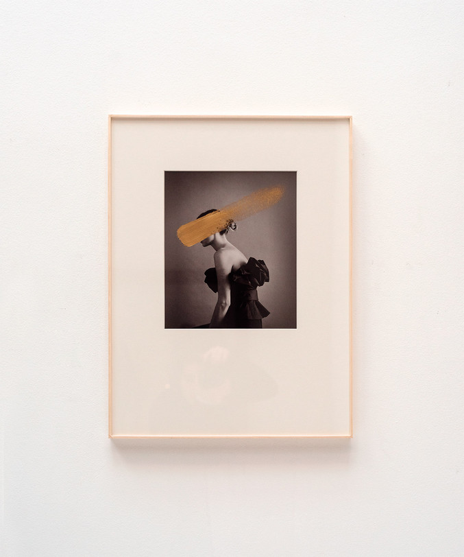 Andrea Torres Balaguer | Hivernacle Orchid Andrea Torres Balaguer | Hivernacle Orchid