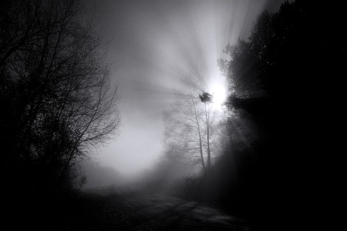 Luis López Gabú | Niebla Luis López Gabú | Niebla