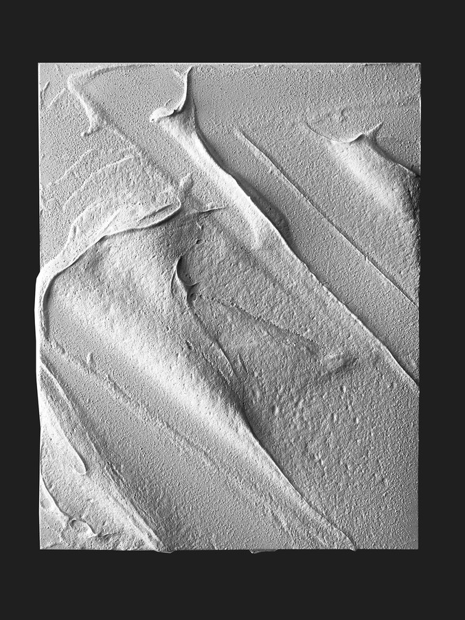 Mareo Rodríguez | Expansion White III Mareo Rodríguez | Expansion White III