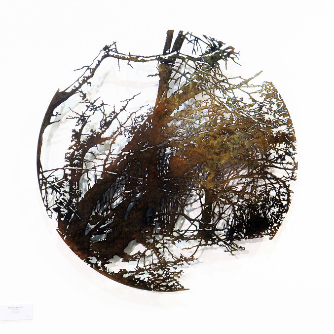 Krum Stanoev | El Bosque Encantado Krum Stanoev | El Bosque Encantado