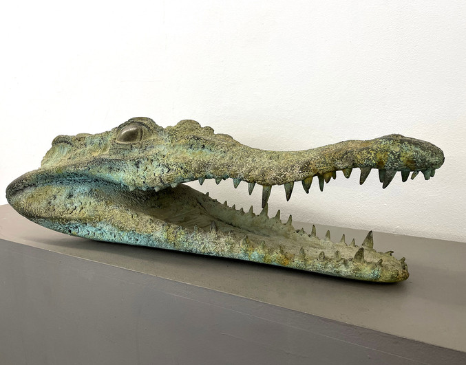 Quentin Garel | Crocodile
