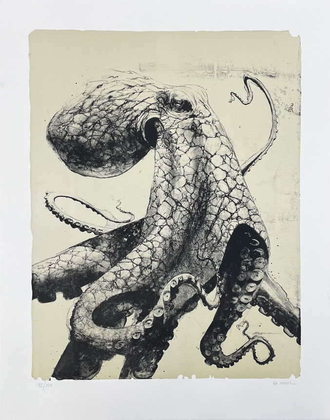 Quentin Garel | Octopus Quentin Garel | Octopus