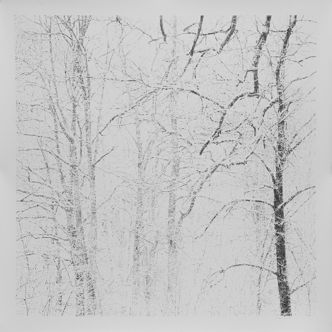Ramon Surinyac | Drawing from small structures Ramon Surinyac | Drawing from small structures