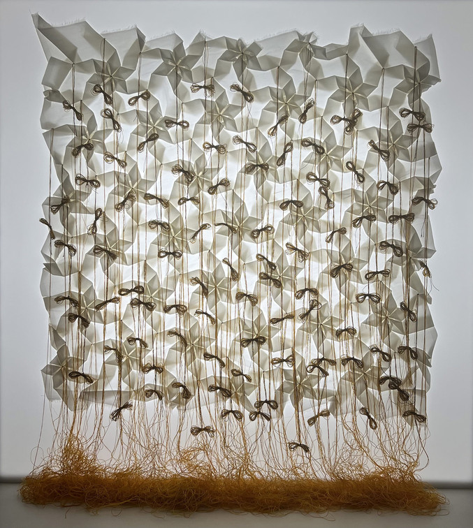 Pierre Louis Geldenhuys | Fauna y Flora Pierre Louis Geldenhuys | Fauna y Flora