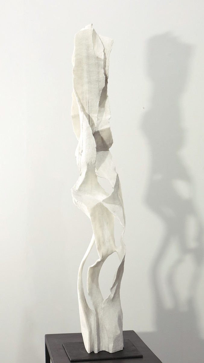 Carlos Andrade | Piel de piedra Carlos Andrade | Piel de piedra