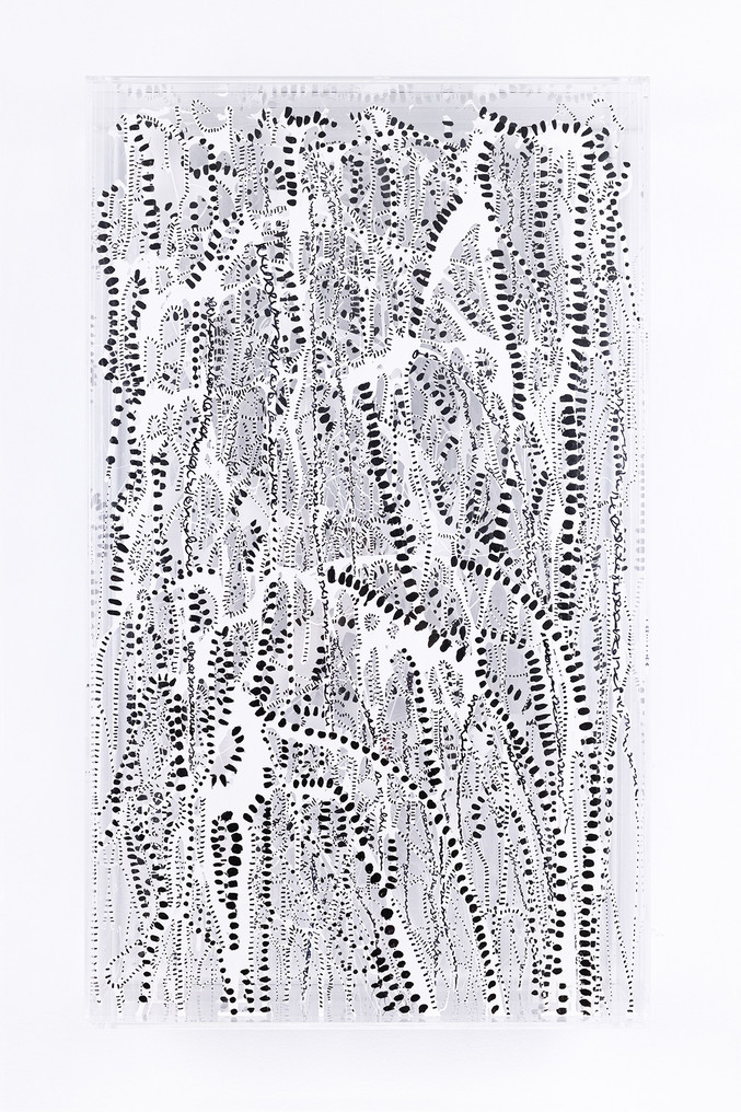 Ana Margarita Ramírez | Selva Blanca y negra Ana Margarita Ramírez | Selva Blanca y negra