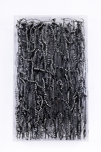 Ana Margarita Ramírez | Selva Negra y blanca