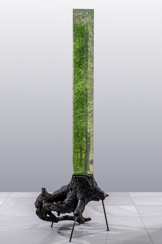 Estudio Mario Valdés | Basajaun Roble