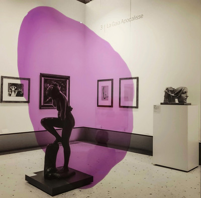 Pedro Peña Gil | Museum hall purple