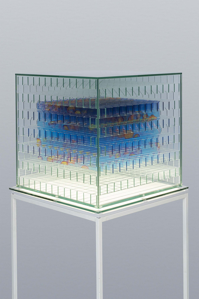 Estudio Mario Valdés | Symmetria reticular 1. Medusas 2 Estudio Mario Valdés | Symmetria reticular 1. Medusas 2