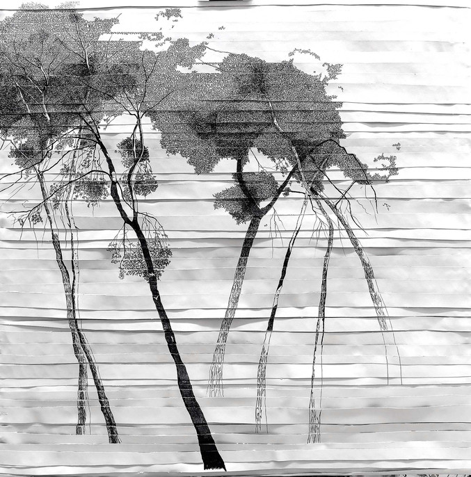 Tatiana Blanqué | Interfeencies-blanc-i-negre-II_ Tatiana Blanqué | Interfeencies-blanc-i-negre-II_