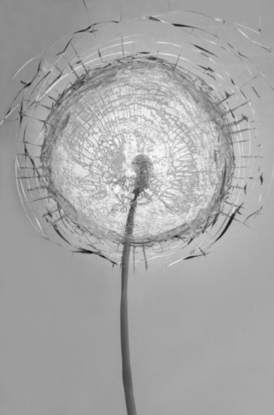 Jordi Larroch | Pide un deseo Jordi Larroch | Pide un deseo