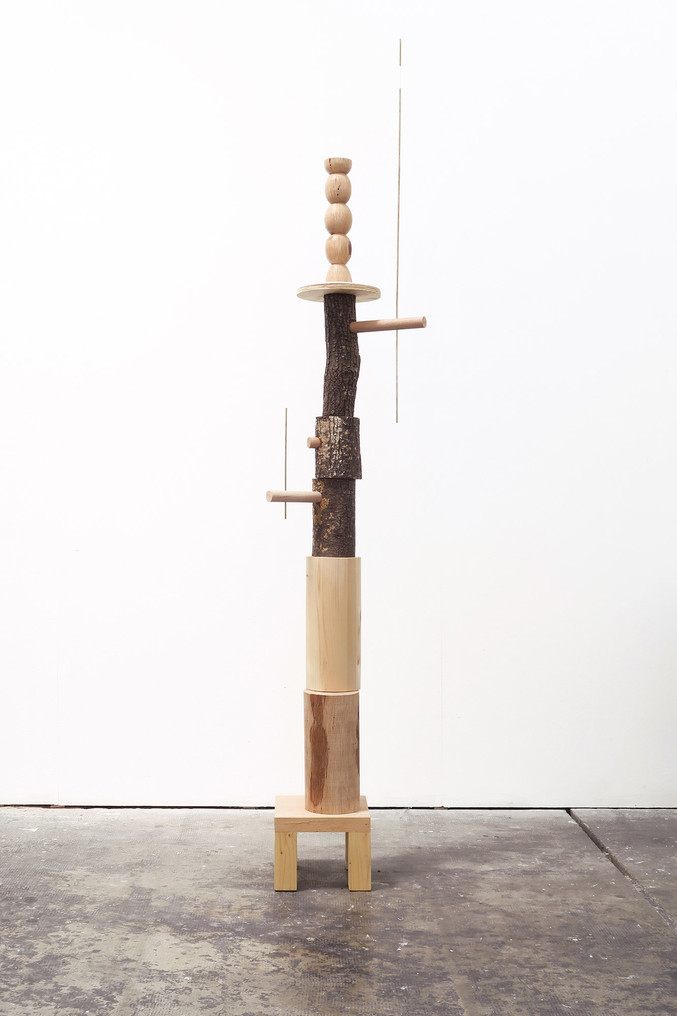 Julian Manzelli | Serie Primitiva / Dispositivo #2