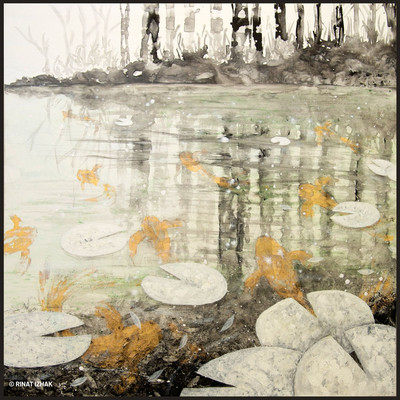 Rinat Izhak | Koi XI Rinat Izhak | Koi XI