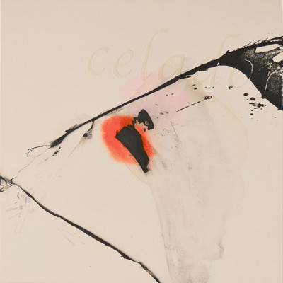 Asun Valet | Celadón 1 Asun Valet | Celadón 1