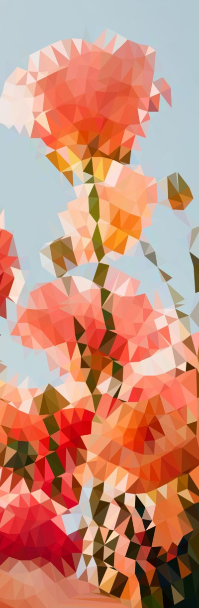 David Planas | S/T David Planas | S/T