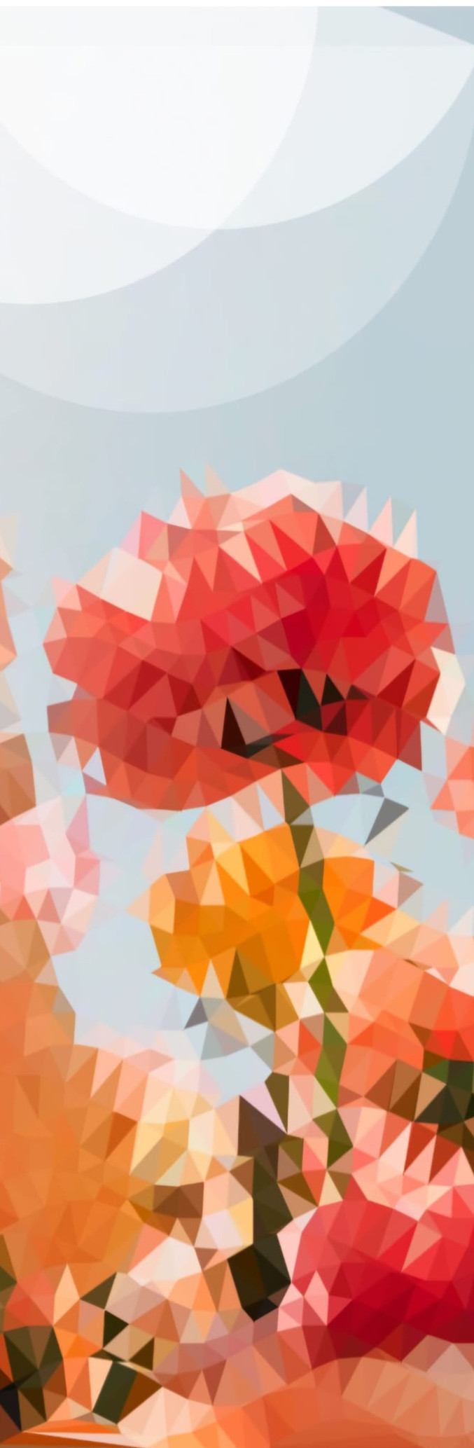 David Planas | S/T David Planas | S/T