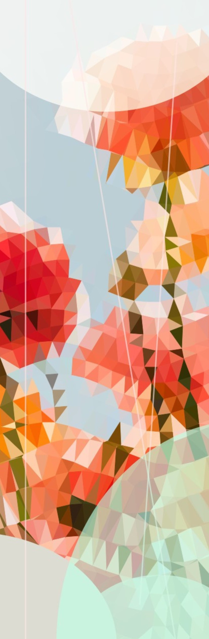 David Planas | S/T David Planas | S/T