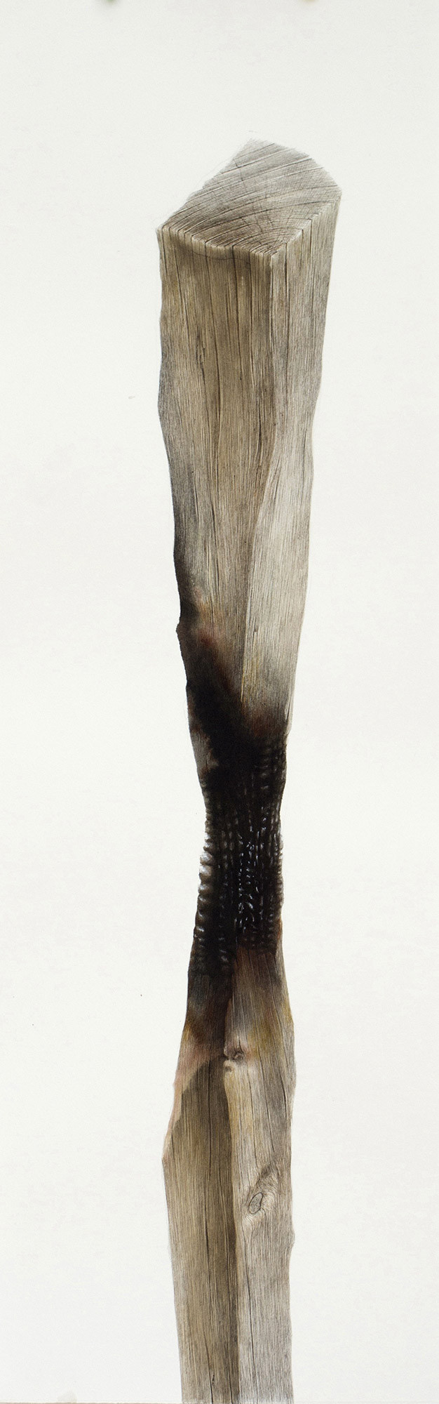 Nacho Zubelzu | Monte Dobra