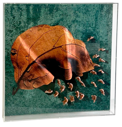 Francesca Martí | The Access