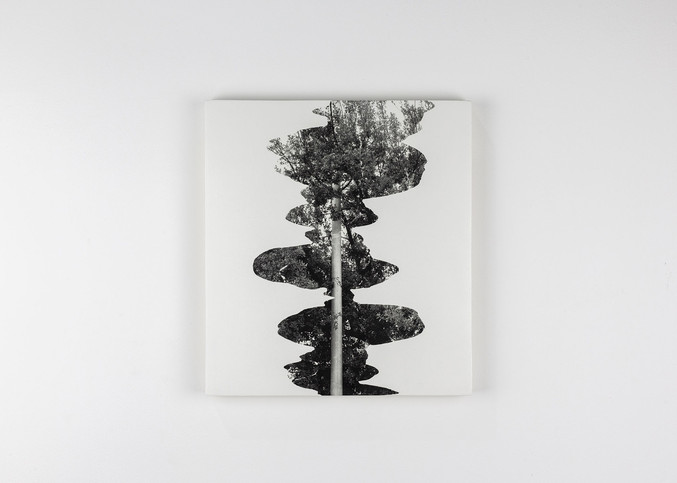 Agustín Serisuelo | Distorsión híbrida en uno Agustín Serisuelo | Distorsión híbrida en uno