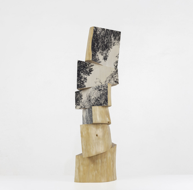 Agustín Serisuelo | Paisaje girado en 6 Agustín Serisuelo | Paisaje girado en 6